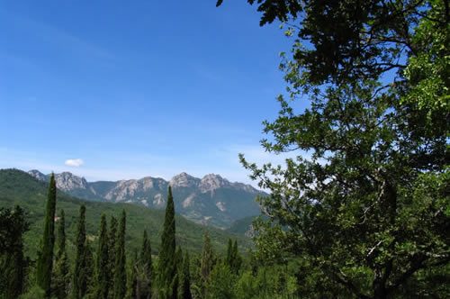 Parco Gallipoli Cognato Piccole Dolomiti Lucane