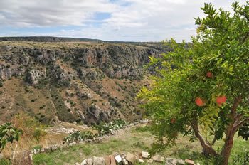 Murgia Park - Matera