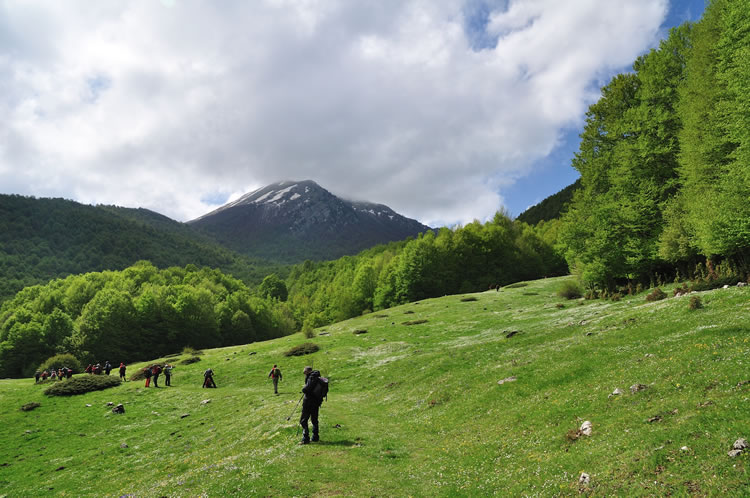parco nazionale del pollino