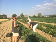 Agriturismo L’Orto di Lucania