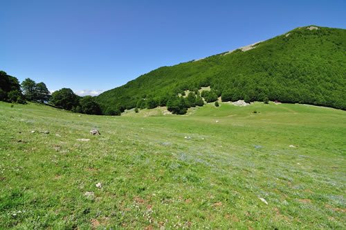 Pollino National Park