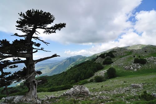 Pollino National Park
