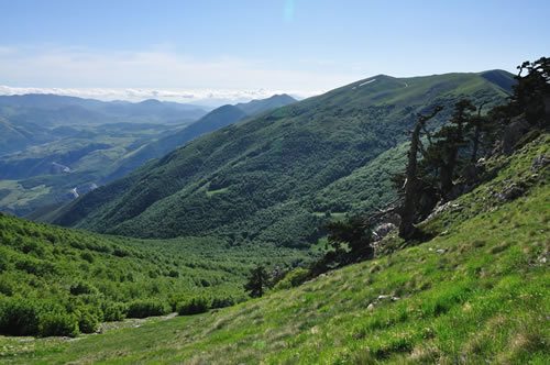 Pollino National Park