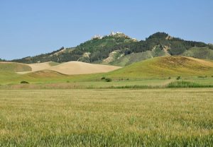 Montescaglioso (MT)