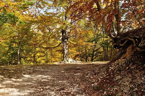 Pollino National Park