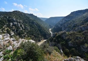 Montescaglioso (MT)