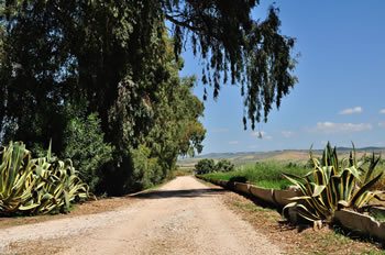L’ingresso dell’Agriturismo L’Orto di Lucania