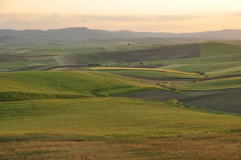 Il paesaggio della collina materana