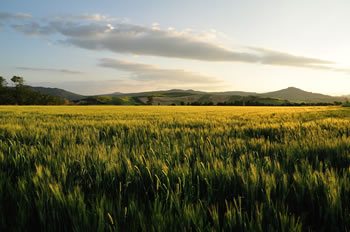Il paesaggio della collina materana