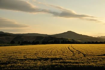 Il paesaggio della collina materana