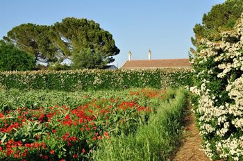 L’Agriturismo L’Orto di Lucania